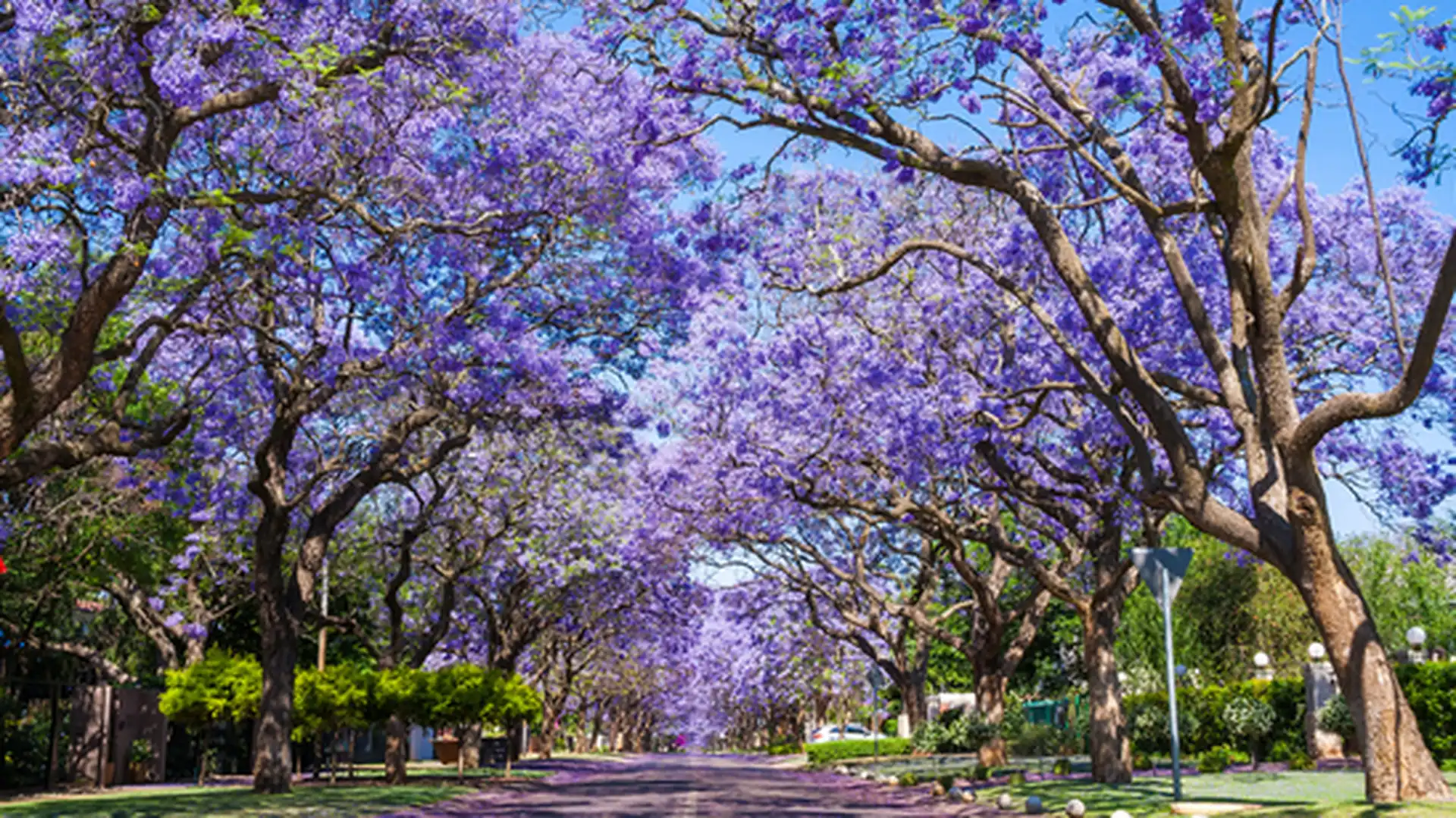 Day 2 - Johannesburg - Pretoria - Sandton