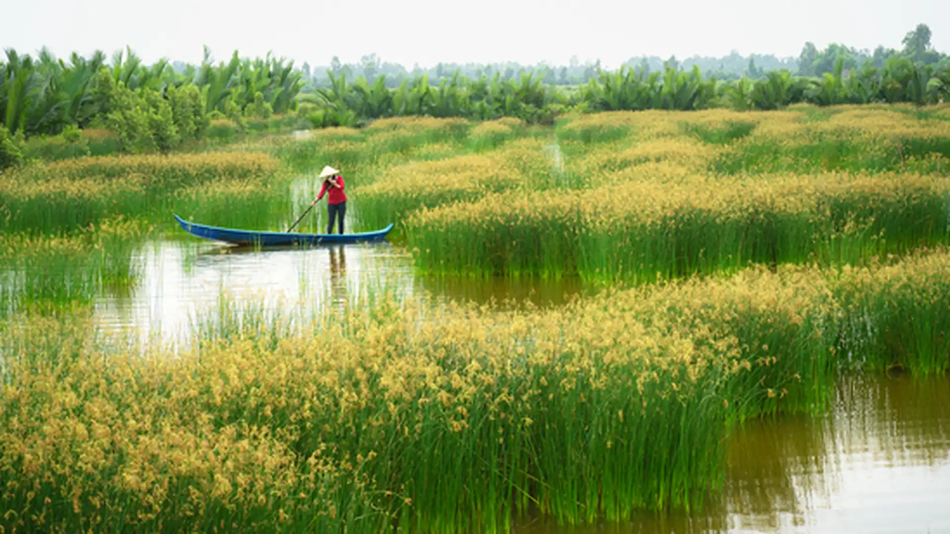 Day 9 - Ben Tre
