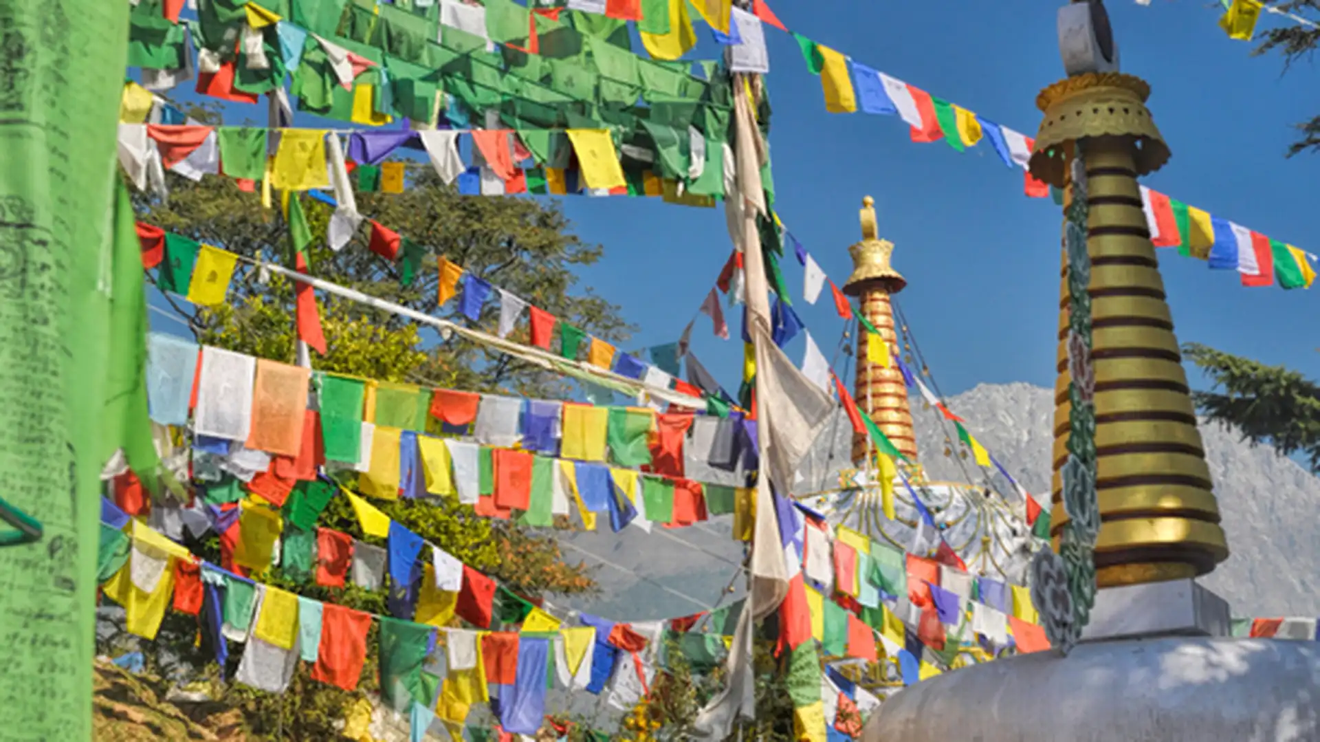 Day 6 - Dharamshala
