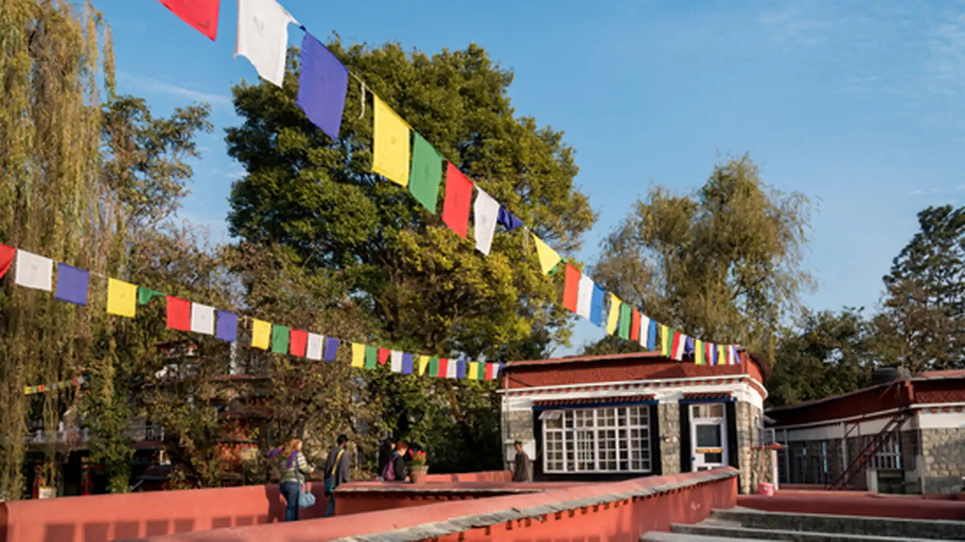 Day 5 - Dharamshala