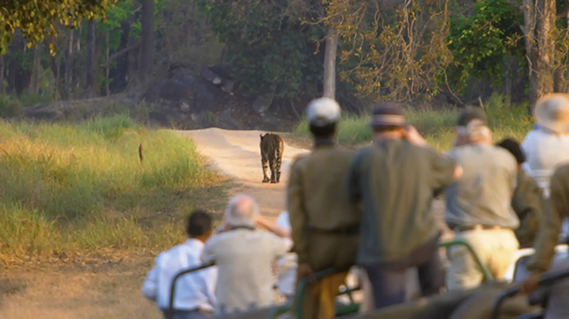 Days 7-8 - Kanha National Park